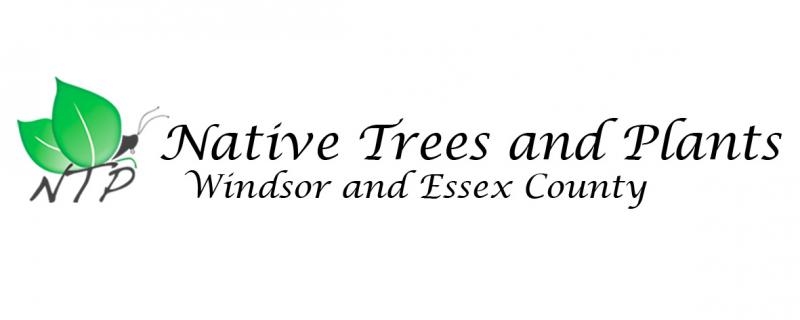 Native Trees and Plants - Windsor and Essex County